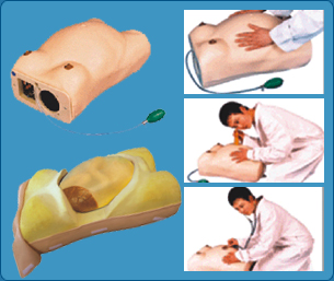 Trauma manikins, trauma mannequin, trauma models, Medical manikins, Medical  mannequin, Medical models, life support models, life support manikins, life support mannequin, life support models, nursing inspection, nursing inspection India, Gynecological Training Model, Gynecological Examination Model, 